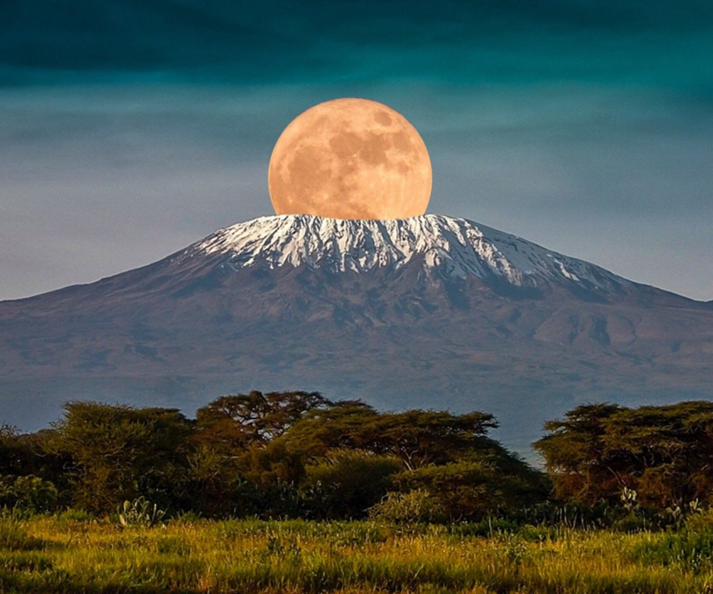 Mt. Kilimanjaro